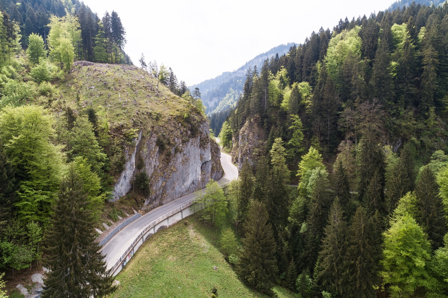 Wanderung um den Ochsenberg | Obermaiselstein im Allgäu