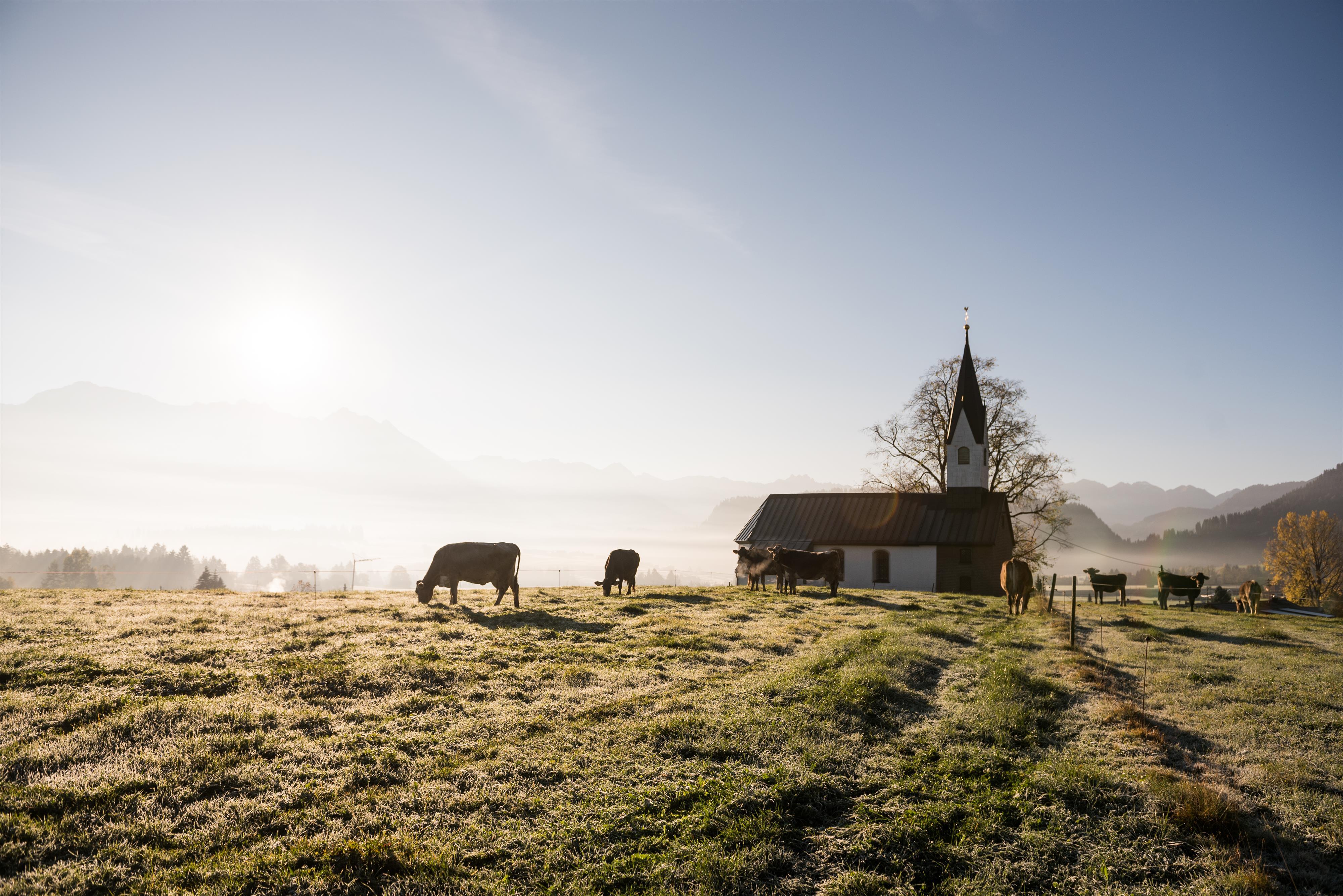 Katholische Kapelle Bolsterlang Kapelle Allg  u